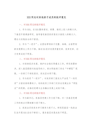 XXX同志对其他班子成员的批评意见