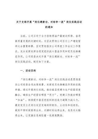 支部开展“岗位建新功、对标争一流”岗位实践活动的通知
