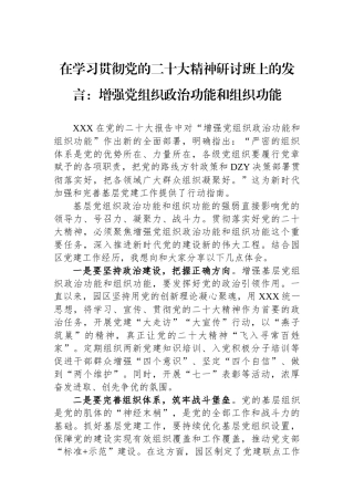 在学习贯彻党的二十大精神研讨班上的发言：增强党组织政治功能和组织功能