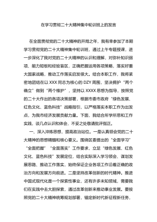 在学习贯彻二十大精神集中轮训班上的发言