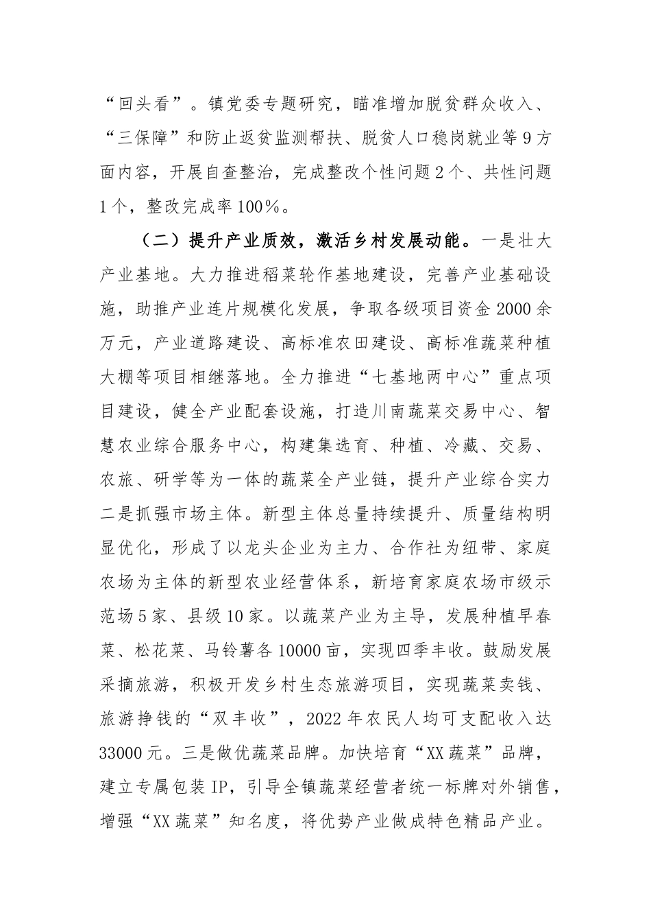 镇2022年度实施乡村振兴战略工作述职报告_第2页