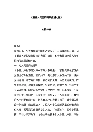 《重温入党誓词凝聚奋进力量》心得体会