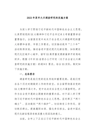 2023年市大兴调查研究的实施方案