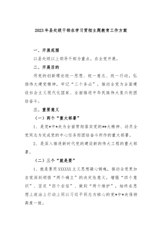 2023年县处级干部在学习贯彻主题教育工作方案