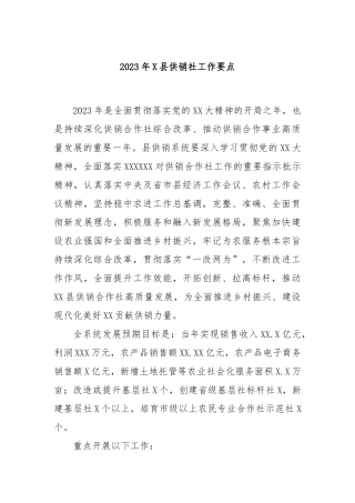 2023年县供销社工作要点