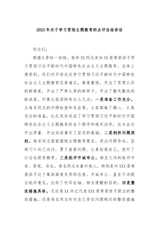 2023年学习贯彻主题教育的点评总结讲话
