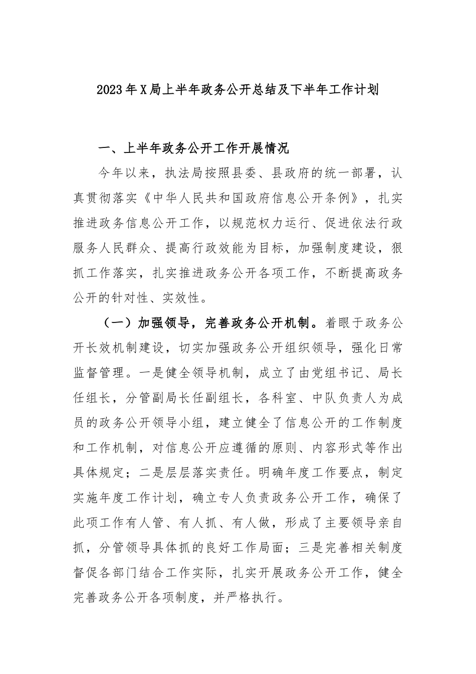 2023年局上半年政务公开总结及下半年工作计划_第1页