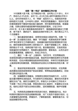 2023年任职“第一书记”驻村期间工作计划