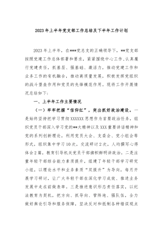 2023年上半年党支部工作总结及下半年工作计划