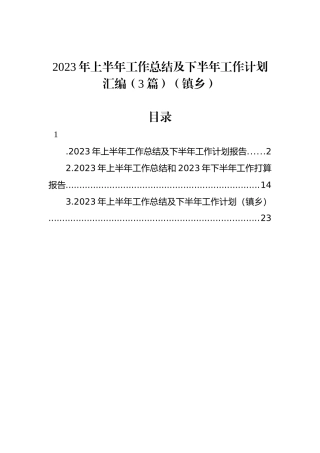 2023年上半年工作总结及下半年工作计划汇编（3篇）（镇乡）