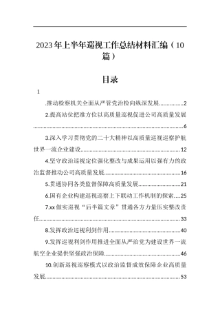 2023年上半年巡视工作总结材料汇编（10篇）