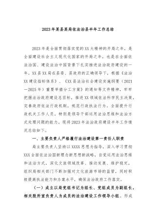 2023年县局依法治县半年工作总结