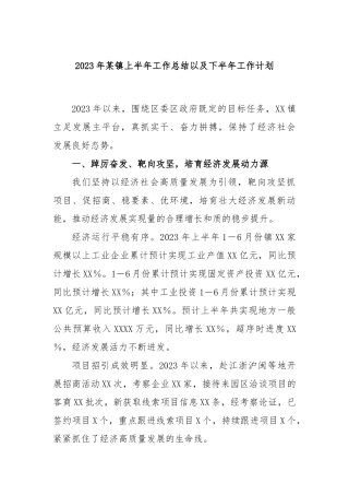 2023年镇上半年工作总结以及下半年工作计划