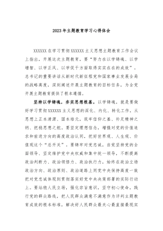 2023年主题教育学习心得体会