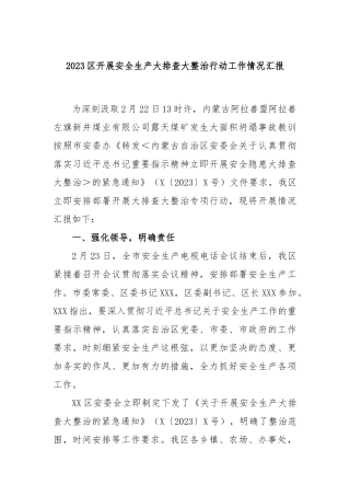 2023区开展安全生产大排查大整治行动工作情况汇报