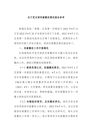 党支部巡察整改情况报告参考