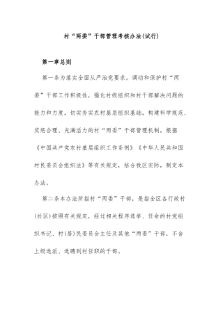 村“两委”干部管理考核办法(试行)