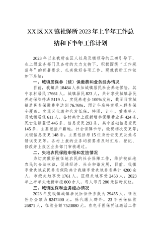 区镇社保所2023年上半年工作总结和下半年工作计划