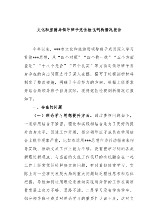 文化和旅游局领导班子党性检视剖析情况报告