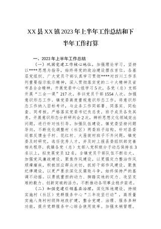 县镇2023年上半年工作总结和下半年工作打算