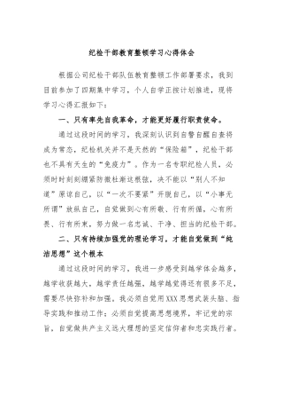 纪检干部教育整顿学习心得体会