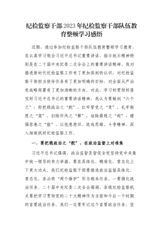 纪检监察干部2023年纪检监察干部队伍教育整顿学习感悟