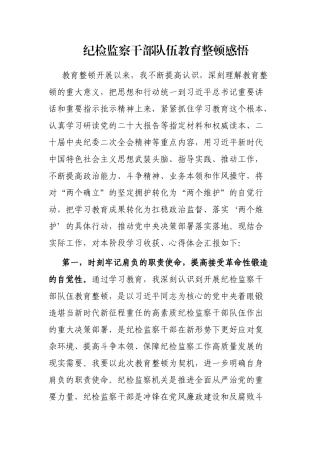 纪检监察干部队伍教育整顿感悟