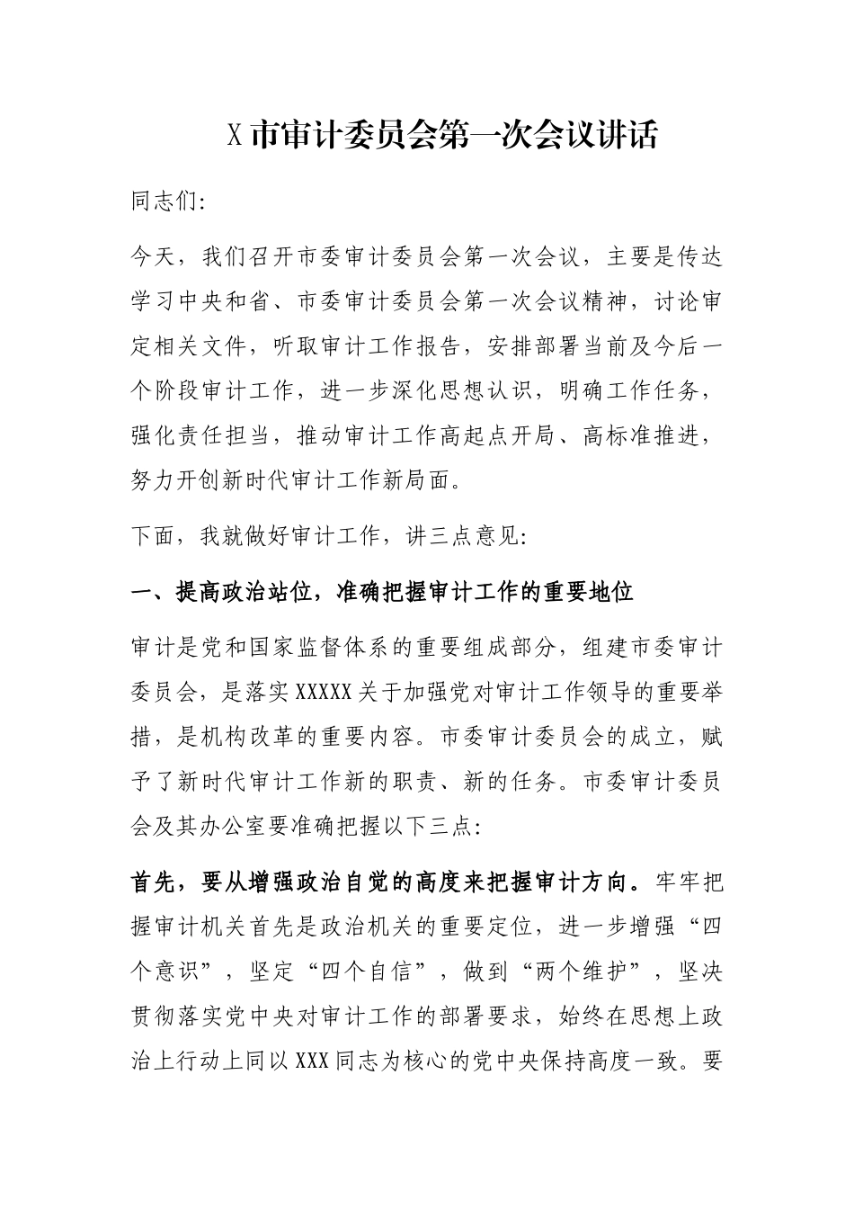X市审计委员会第一次会议讲话_第1页