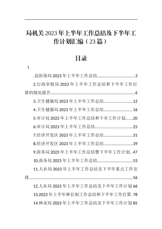 局机关2023年上半年工作总结及下半年工作计划汇编（23篇）