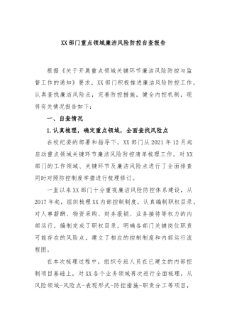 部门重点领域廉洁风险防控自查报告