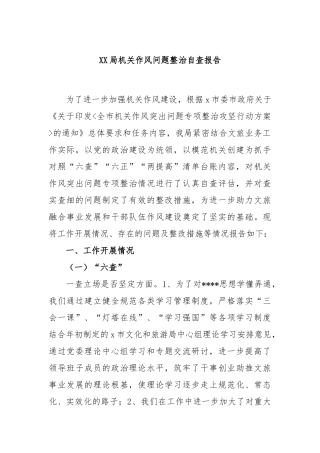 局机关作风问题整治自查报告
