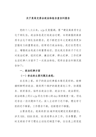 局支委会政治体检自查自纠报告