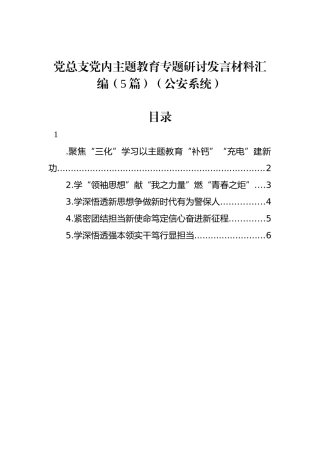 党总支主题教育专题研讨发言材料汇编（5篇）（公安系统）