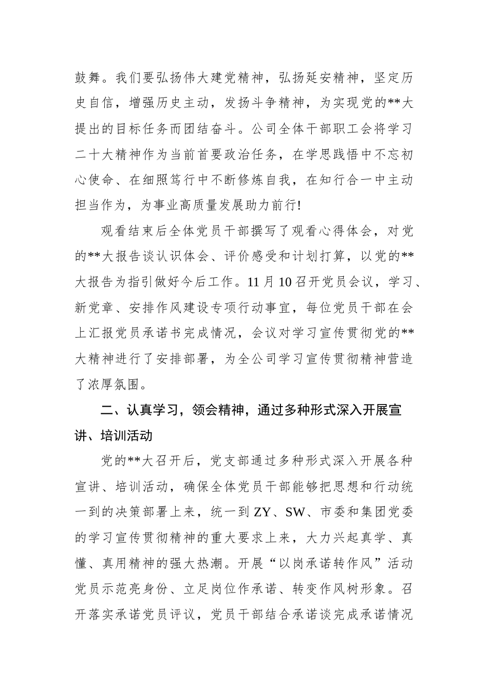 公司党支部学习宣传贯彻党的二十大精神情况报告_第2页