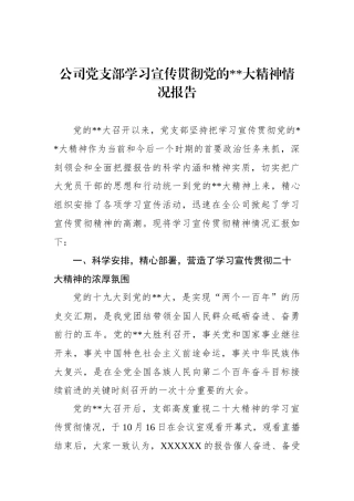 公司党支部学习宣传贯彻党的二十大精神情况报告