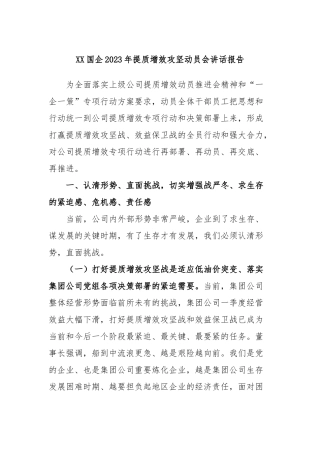 国企2023年提质增效攻坚动员会讲话报告