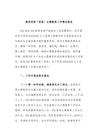 集团党委（党组）主题教育工作情况报告