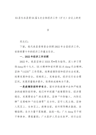 县长在县委届X次全体经济工作（扩大）会议上的发言