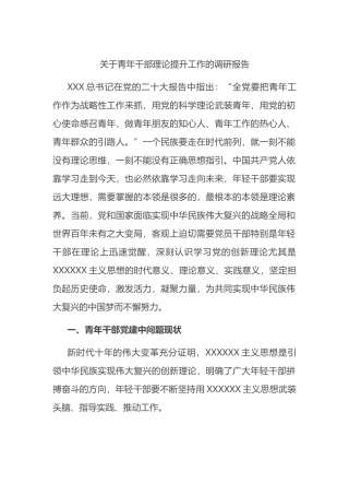 青年干部理论提升工作的调研报告