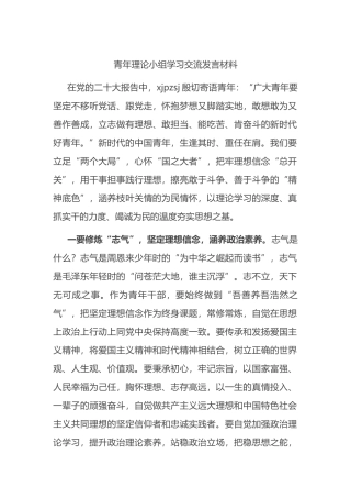 青年理论小组学习交流发言材料