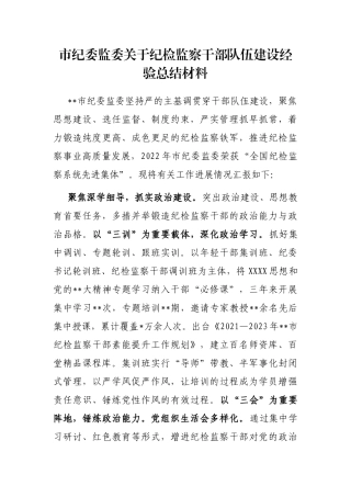 市纪委监委纪检监察干部队伍建设经验总结材料