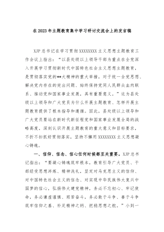 在2023年主题教育集中学习研讨交流会上的发言稿