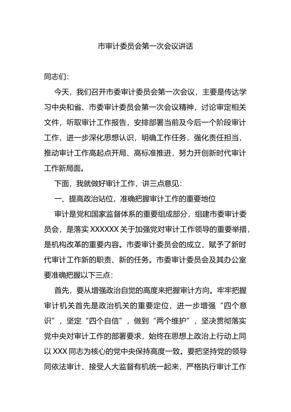 市审计委员会第一次会议讲话_第1页