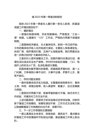 镇2023年第一季度述职报告