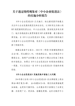 透过烧烤现象对《中小企业促进法》的实施分析报告