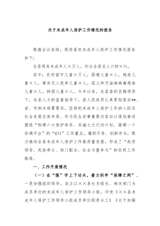 未成年人保护工作情况的报告