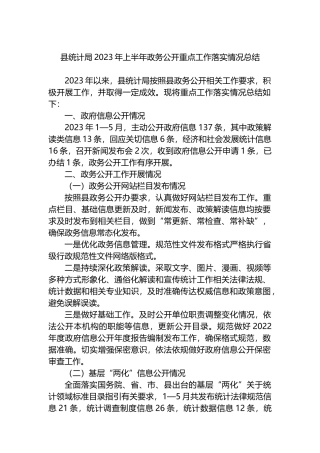 县统计局2023年上半年政务公开重点工作落实情况总结