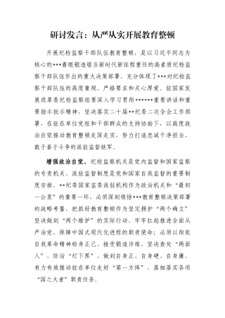 研讨发言：从严从实开展教育整顿