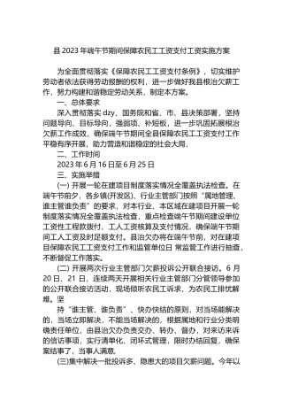 县2023年端午节期间保障农民工工资支付工资实施方案
