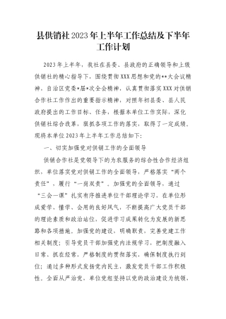 县供销社2023年上半年工作总结及下半年工作计划
